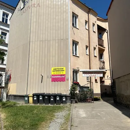 Theresa Apartment Decin